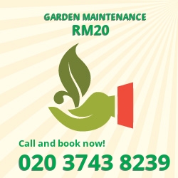 RM20 patio lawn maintenance West Thurrock