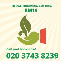 Purfleet leylandii trees planting RM19