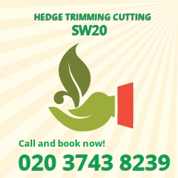 Wimbledon leylandii trees planting SW20