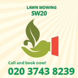 Wimbledon cutting long grass SW20