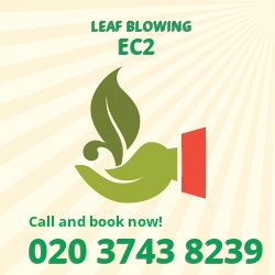 Bishopsgate leaf clearing equipment