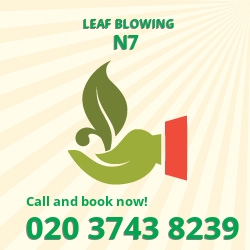 Nag's Head leaf clearing equipment
