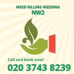 Willesden Green weed removal service NW2