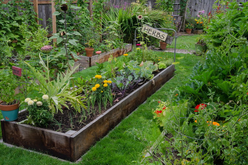 outdoor space 