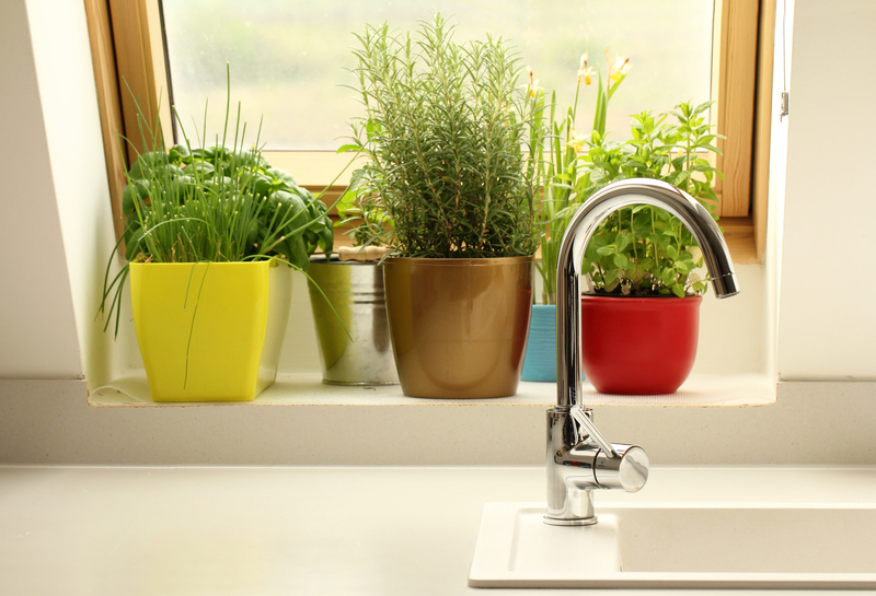 garden / your garden garden / for garden