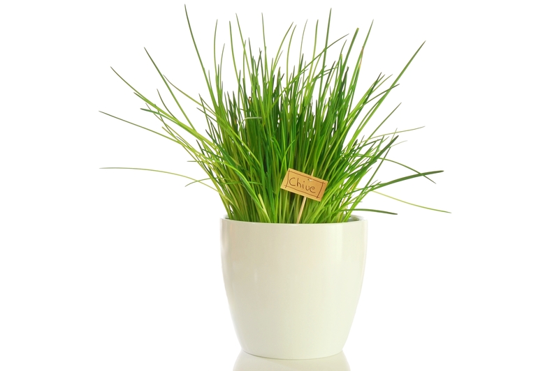 Lawn yard