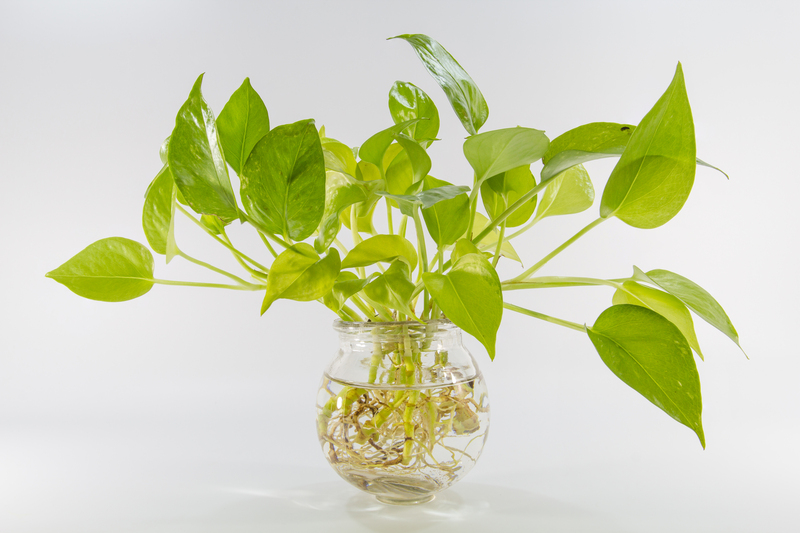 plants gardeners