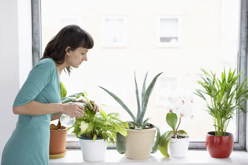 home planting