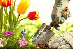 Keston garden maintenance BR2