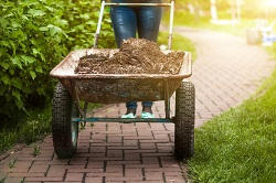 control weeds in Freezywater