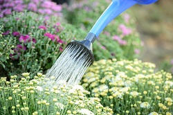London Lower Edmonton