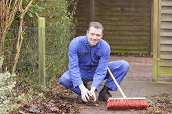 RM19 hedge trimming cutting Purfleet