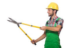 SW1X landscape gardeners Belgravia