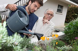 EN2 lawn and garden care in Botany Bay