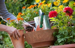 landscapers & gardeners Eastcote