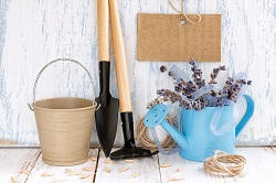 Gallows Corner lawn and garden maintenance