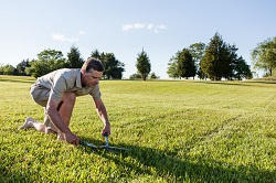 lawn mowing Gallows Corner