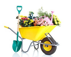 landscape lawn mowers Ham