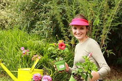 TW10 landscape gardeners Petersham