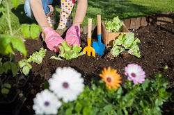 SL1 garden and grass care