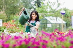 plant nursery TW1