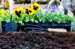 garden rubbish removal in Wimbledon