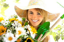 landscape lawn mowers Wimbledon